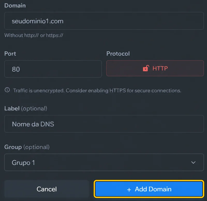 In **Domain**, type the address **without** `http://`. For **Port** and **Protocol**, use your server details. Name it in **Label** (e.g. **DNS 1**), pick the group in **Group** and click **+ Add Domain**.