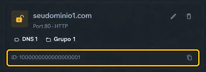 Each DNS gets an **ID** (numbers only): Sigma and your system ask for it. Copy it with the icon next to it.